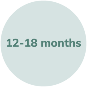 12-18 Months Developmental Milestones