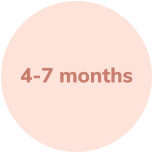 Infant Development Milestones (4-7 Months)