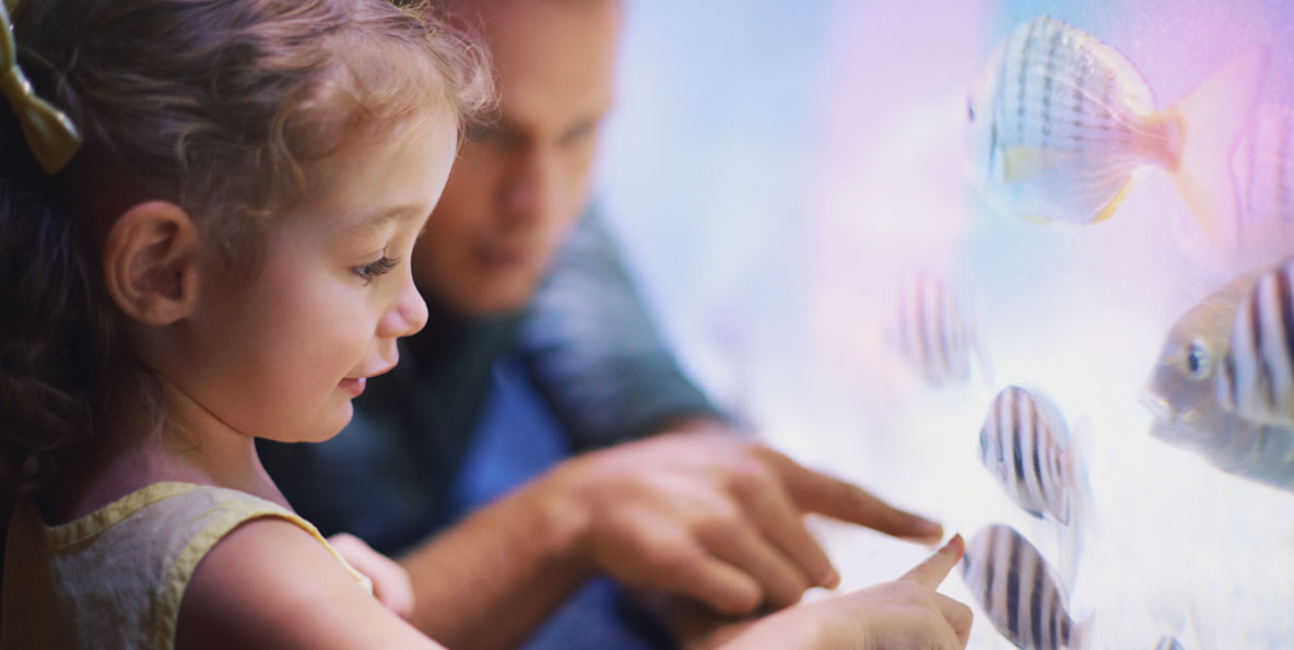 5 Ways to Teach Kids About Respect | Little Sunshine's Playhouse
